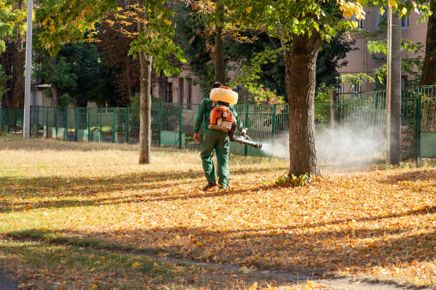 Best Affordable Exterminators  in USA